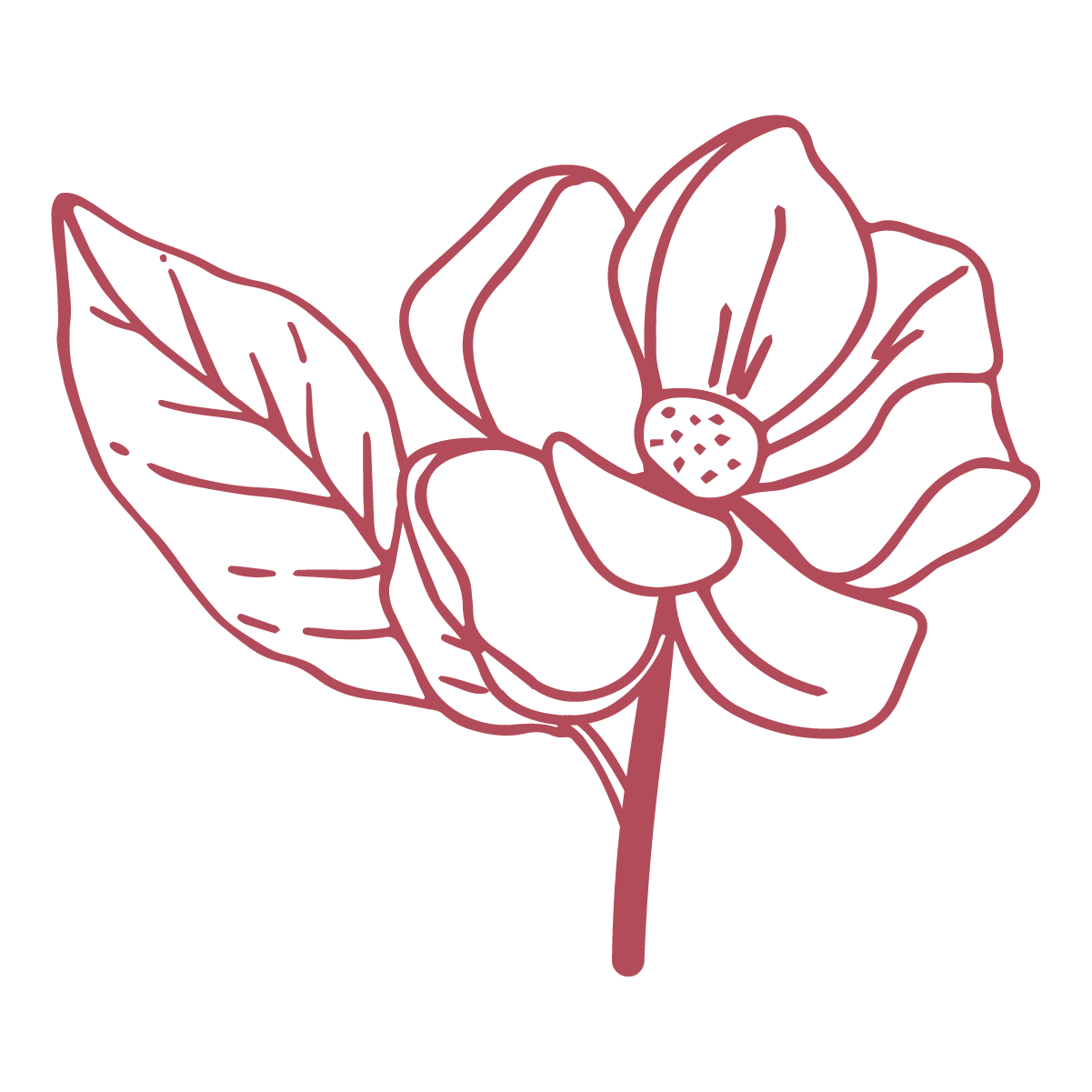 Magnolia Family Dental deep pink magnolia flower logo symbol.